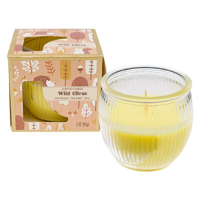 wholesale Scented Candle, Wild Citrus Scent, 3oz/85g, Cozy Fragrance for Any Space