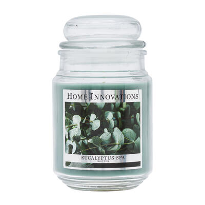 wholesale Home Innovations Eucalyptus Spa Scented Candle, 18oz/510g