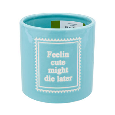 wholesale Summer Indoor Planter, 4.84 in, Blue